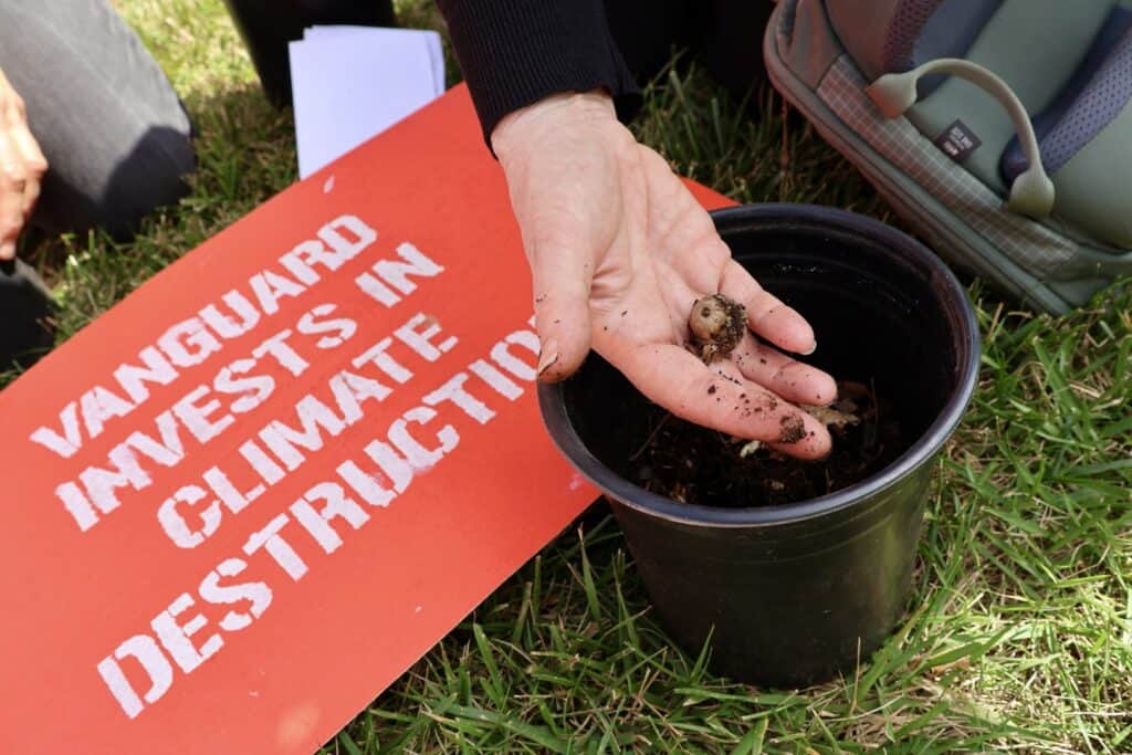 Close up of a hand holding an acorn over a black flower pot with dirt. To the left, lying on the grass, is a red sign with white text that says "Vanguard invests in climate destruction."